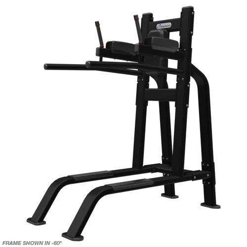 Leg Raise/Dip