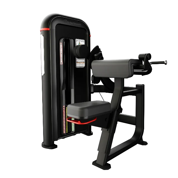 Inspiration® Bilateral Arm Curl