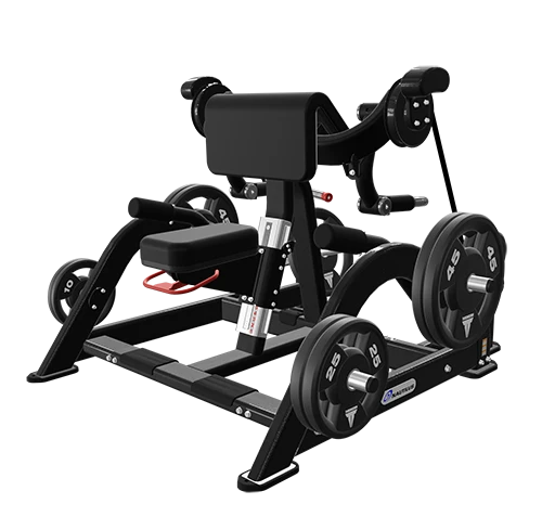 Leverage Biceps Curl