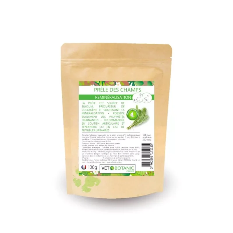 PRÊLE DES CHAMPS – Plante pure en poudre – Reminéralisation chiens et chats
