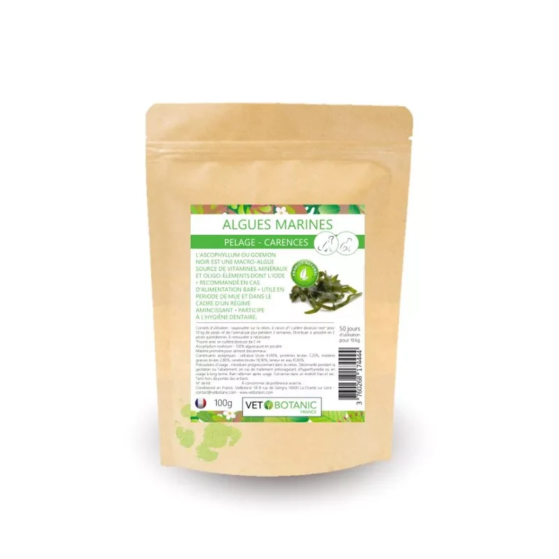 ALGUES MARINES plante pure en poudre – Pelage et carences chiens et chats