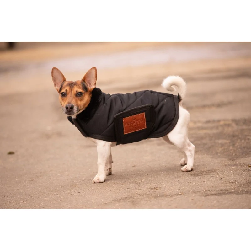 Couverture pour chien Diagonal - PADDOCK - 30 à 60 cm