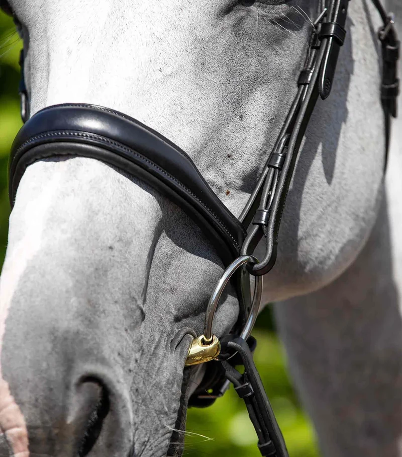 Muserolle anatomique PREMIER EQUINE Verdura