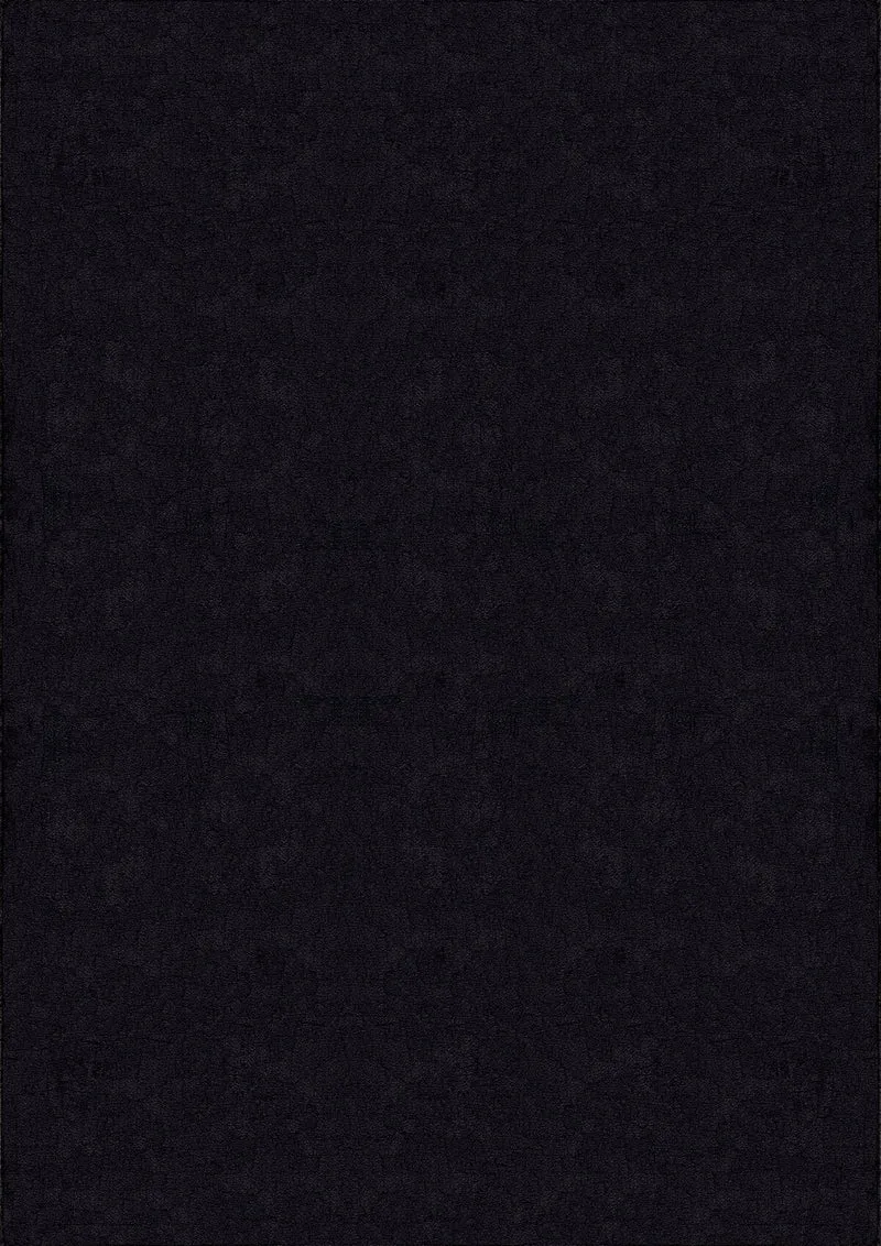 Tapis Loft Noir