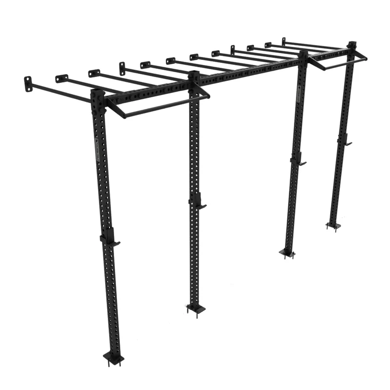 Rig fonctionnel mural avec Monkey Bars