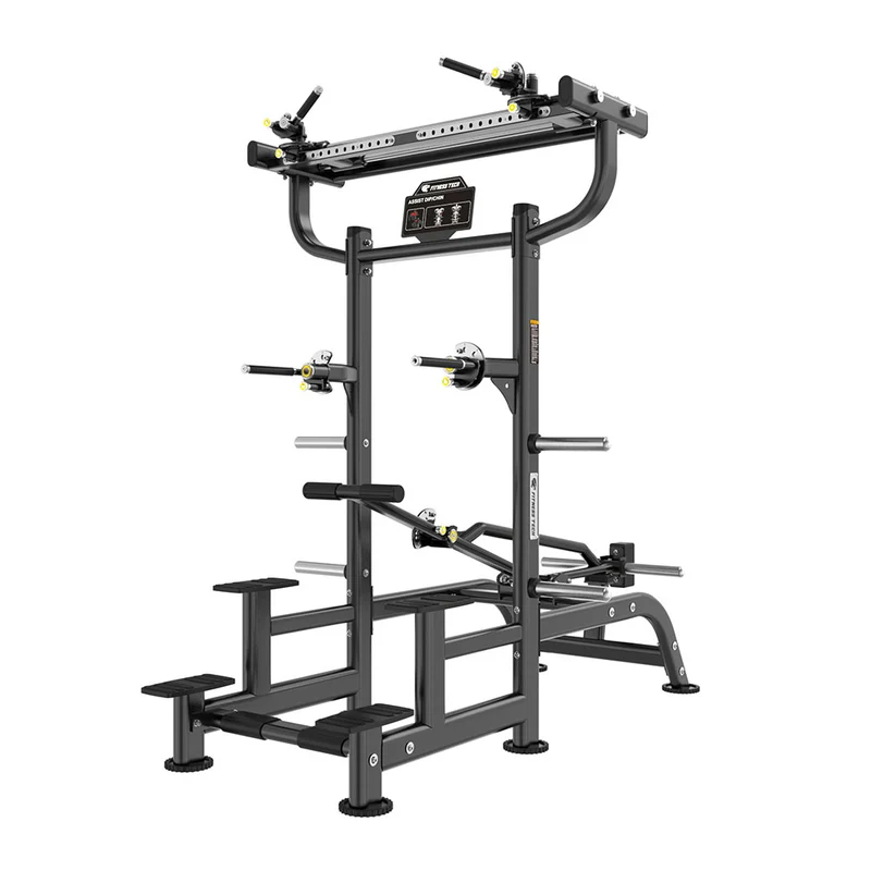 Dips et Tractions Assistées | Machine à Levier - Pro Tech Series