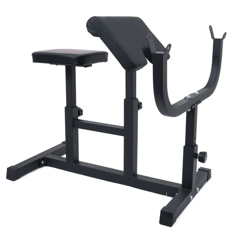 React Preacher Curl Bench 100