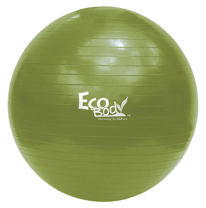 Eco Body Exercise Ball 65cm