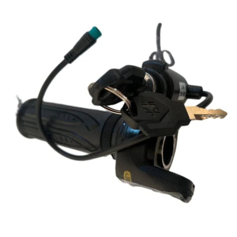 Throttle Display with Key Ignition for iScooter i12 Electric Scooter