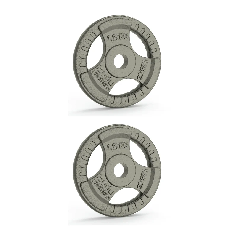 2 Disques de Musculation en Fonte de 2,5 kg (2 x 1,25 kg)