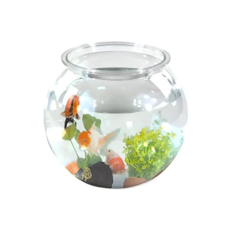 Petit aquarium rond | PET eco | 4L | Petits poissons | Nettoyage facile | 20x20x17,5cm | Jardin aquatique | Nemo | Mobiclinic