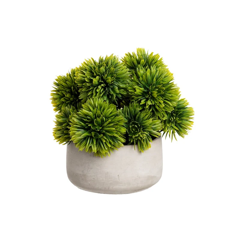 Centre de table extérieure - Boules succulentes