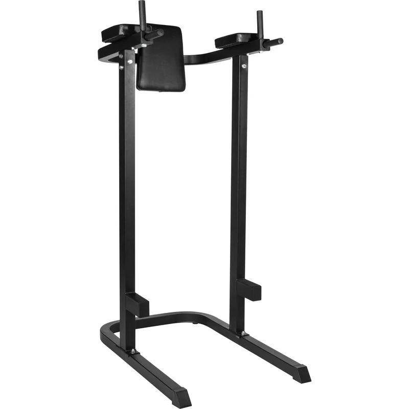 Dip Station Multifunction