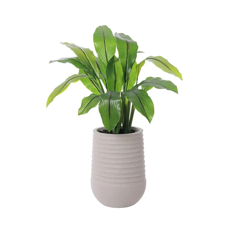 Curcuma artificiel extérieur